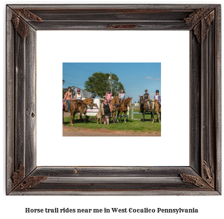 horse trail rides near me in West Cocalico, Pennsylvania